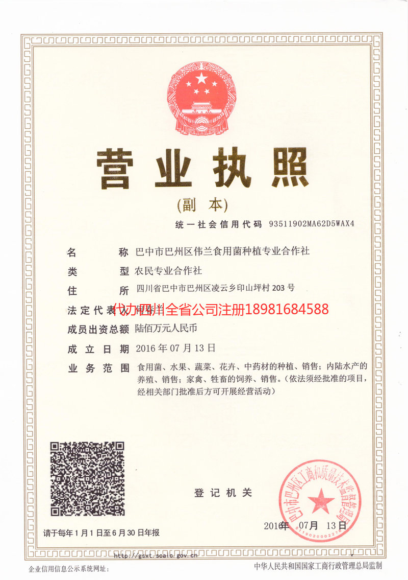 苍溪苍溪伟兰食用菌种植专业合作社